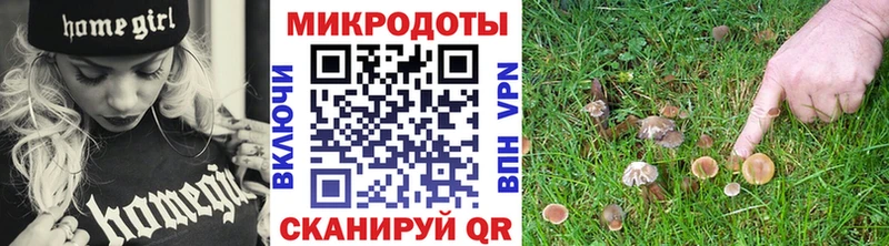 где можно купить наркотик  Суджа  Галлюциногенные грибы прущие грибы 
